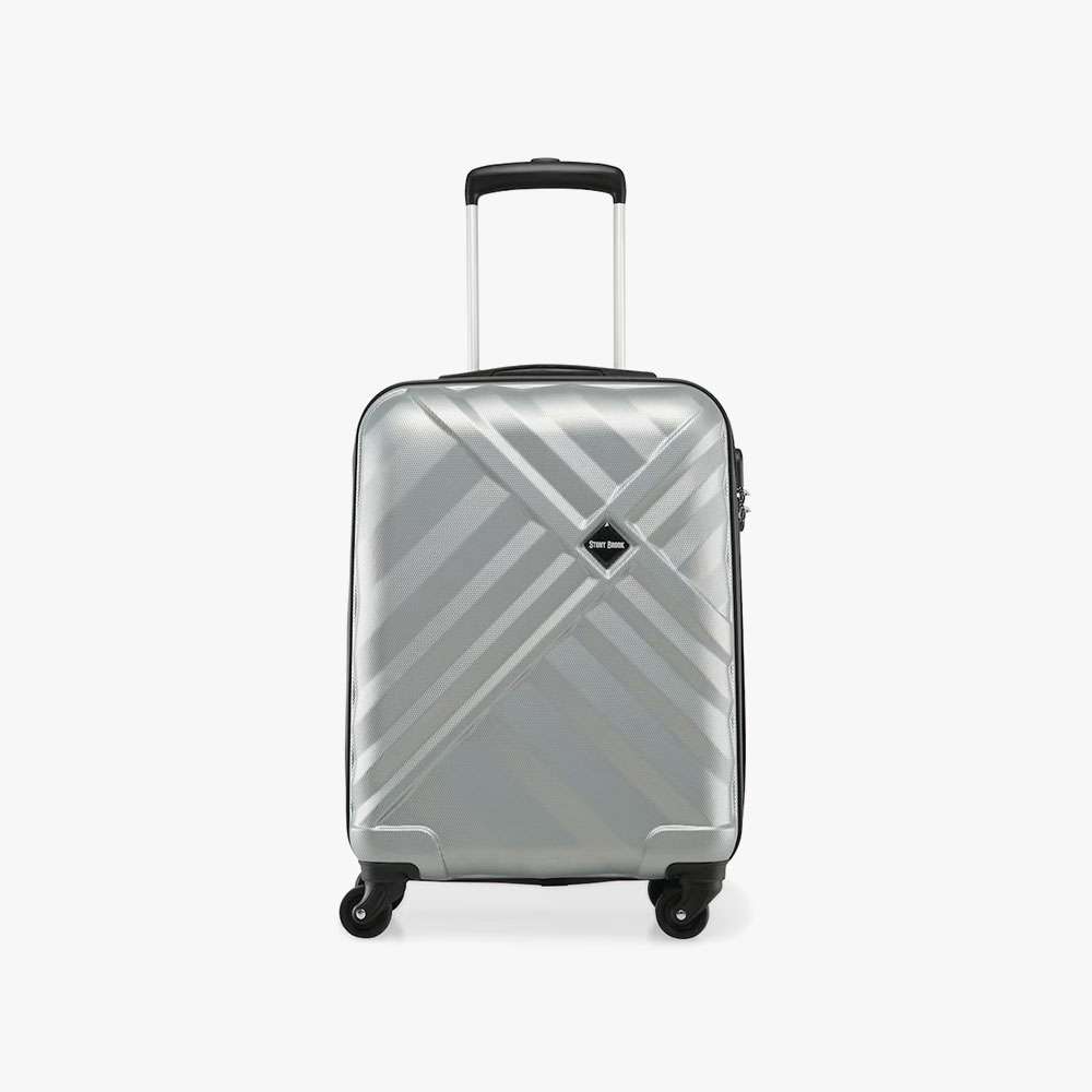 Stony Hard-Shell Cabin Luggage (20-inch, Silver, 4-Wheel Spinner)
